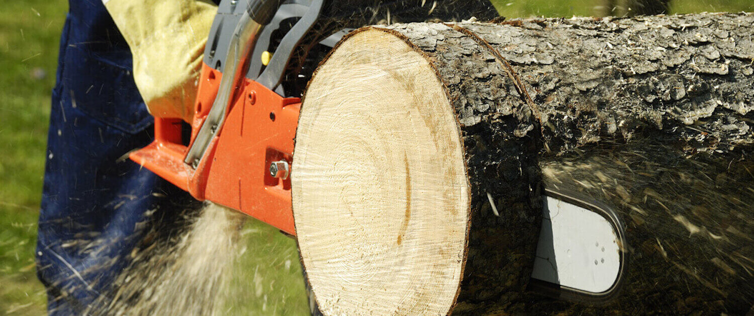chainsaw cutting a log easily and in record time